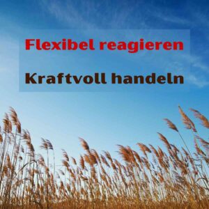 Schilf vor blauem Himmel – Bildungsurlaub Seminar Flexibel reagieren Kraftvoll handeln an der Ostsee